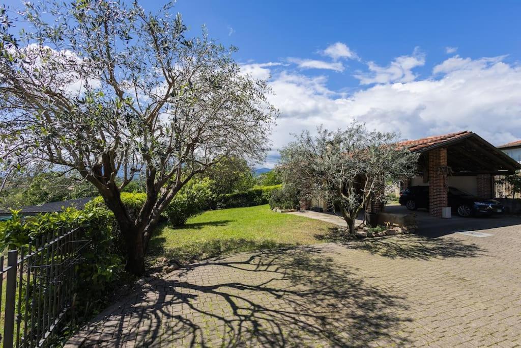 Villa Bruno Selvago In Lessona Eksteriør billede