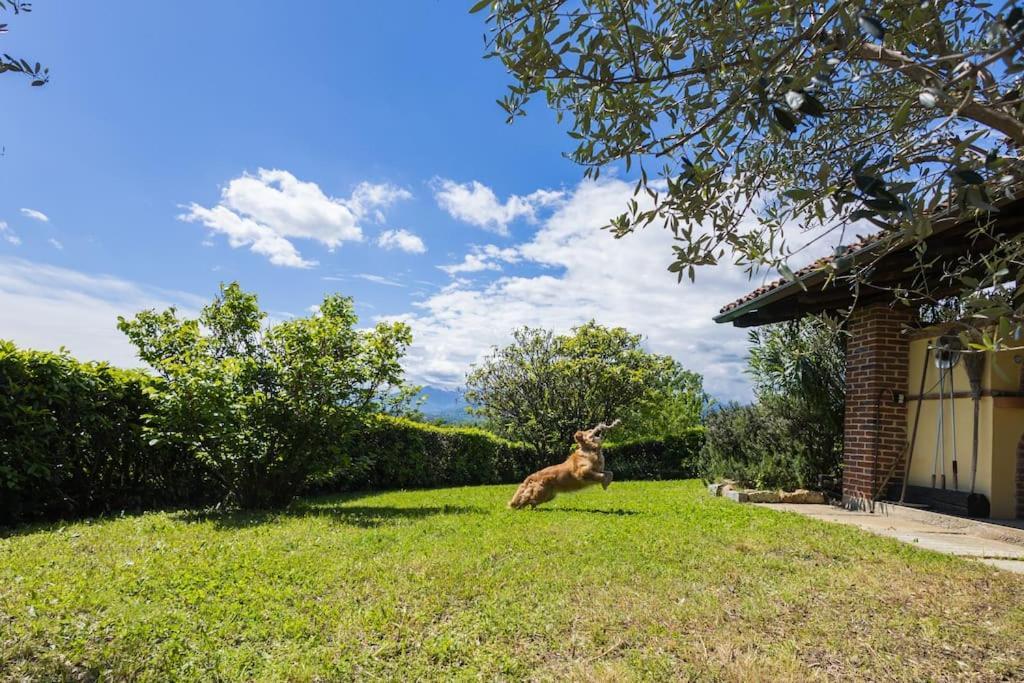 Villa Bruno Selvago In Lessona Eksteriør billede